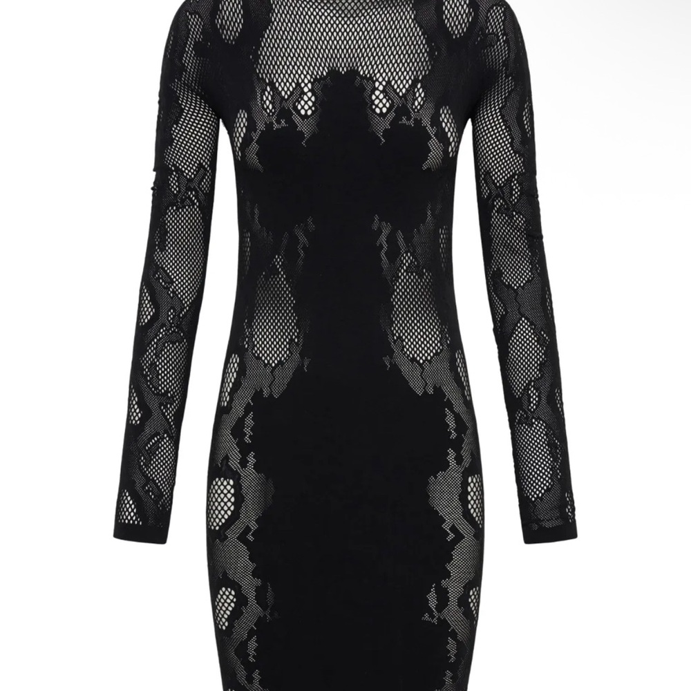 Dion Lee Dress